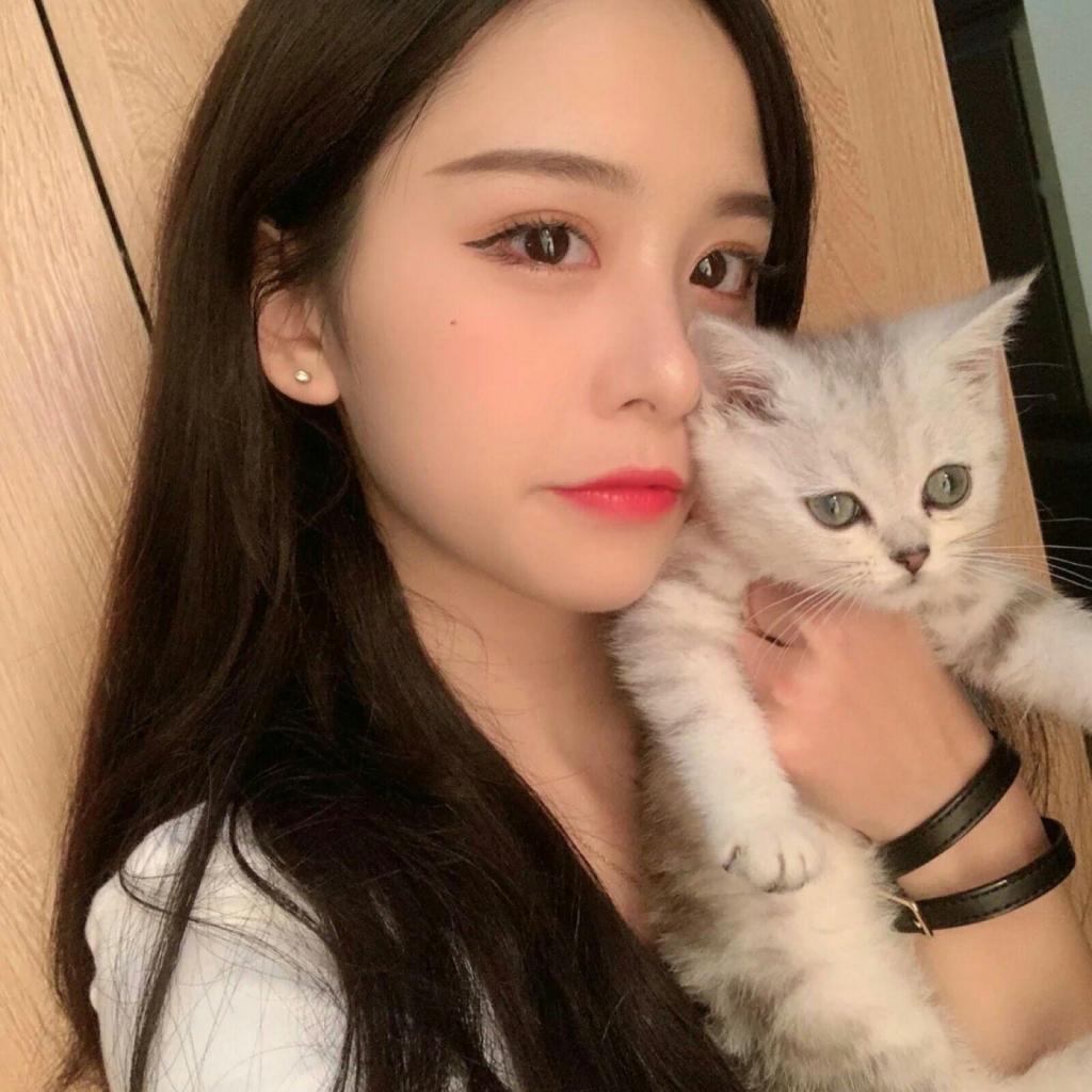 加拿大pc软件平台